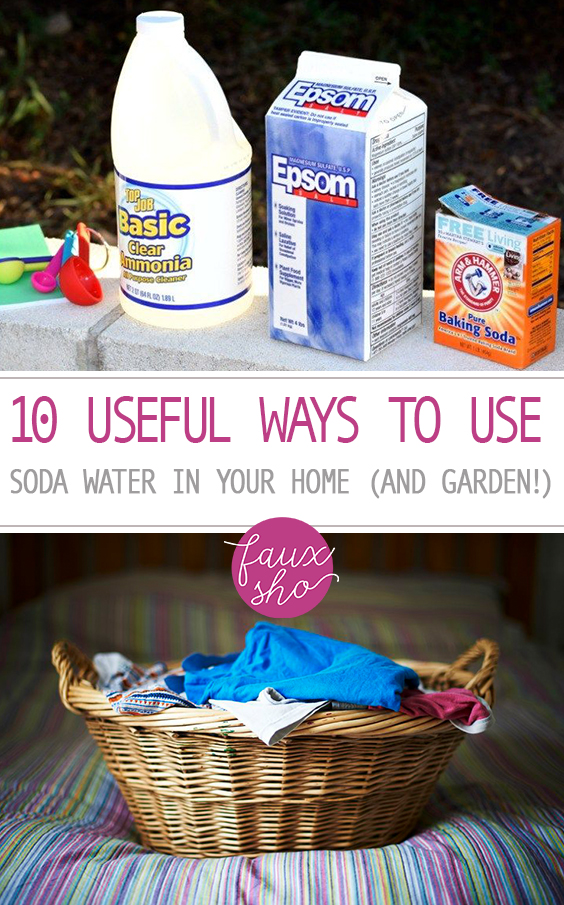 10 Useful Ways to Use Soda Water In Your Home (and Garden!)