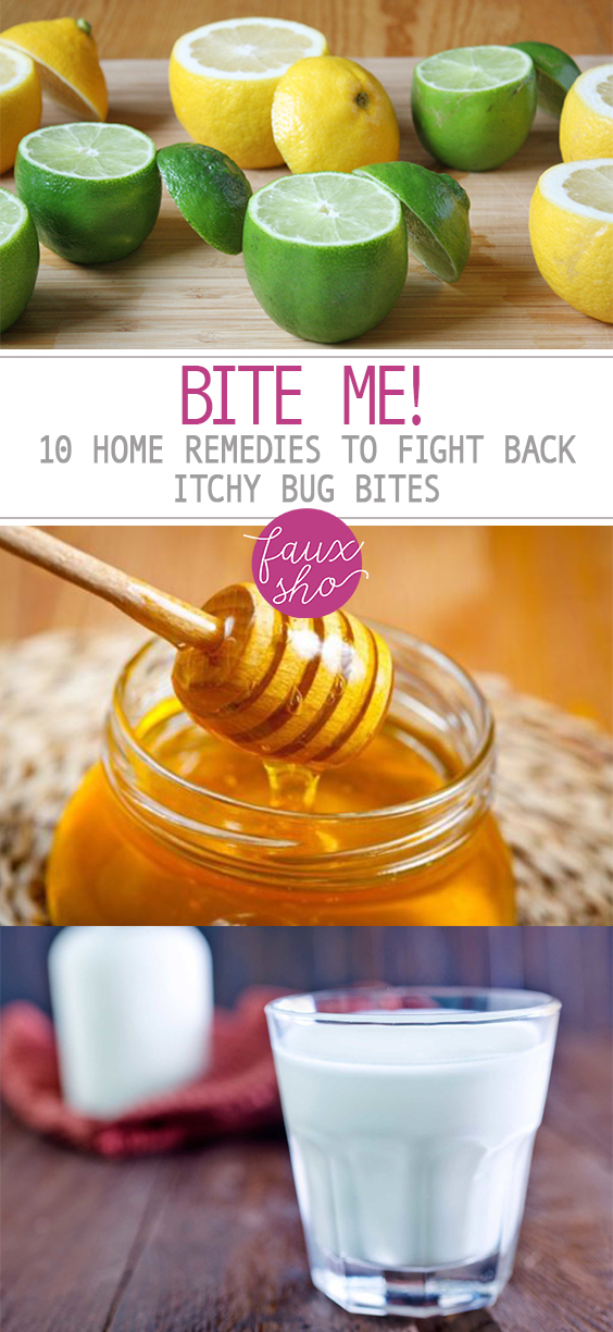 Bite Me 10 Home Remedies To Fight Back Itchy Bug Bites Faux Sho