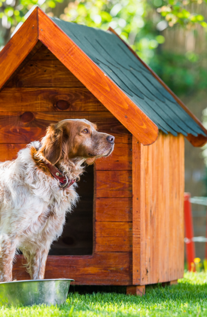 Try to create a classic snoopy dog house for your furry best friend! You will love these DIY dog house ideas! 