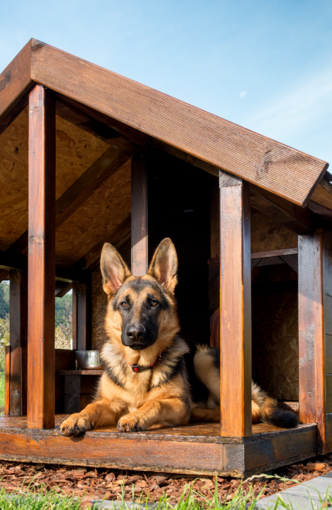 This outdoor cabin ideas is so cute for your furry best friend! You will love these DIY dog house ideas! 