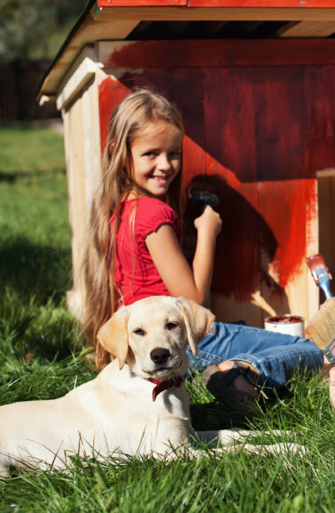 If you have extra pallets laying around, you can create a pallet palace for your doggy. You will love these DIY dog house ideas! 