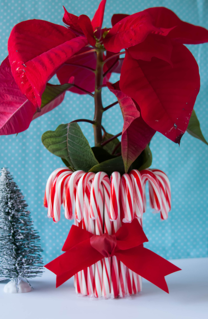 Isn't this candy cane vase so stinking cute? From centerpieces to decorations, we've got the skinny on some festive dollar store holiday decorating ideas. 