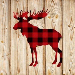 Buffalo Plaid for the Holidays | Buffalo Plaid | Buffalo Plaid Ideas | Combat Holiday Blues | Holiday Blues | Buffalo Plaid Tips and Tricks 